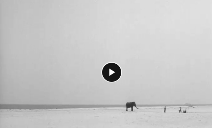 星尘往事剧照的剧照