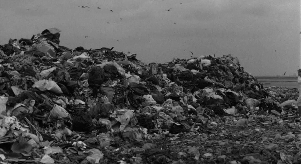 星尘往事剧照的剧照