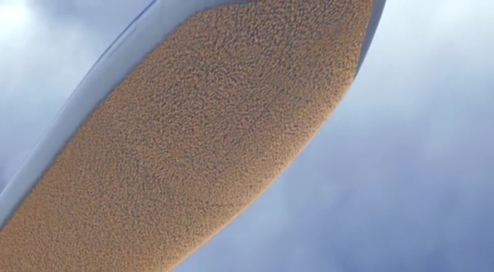 蜜蜂总动员剧照的剧照