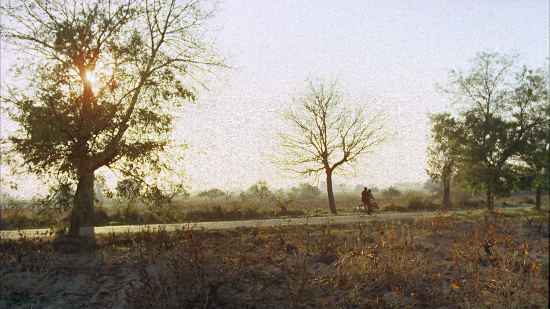 安洁丽卡表妹剧照的剧照