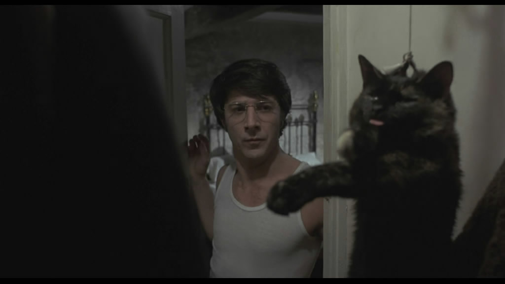 稻草狗剧照的剧照