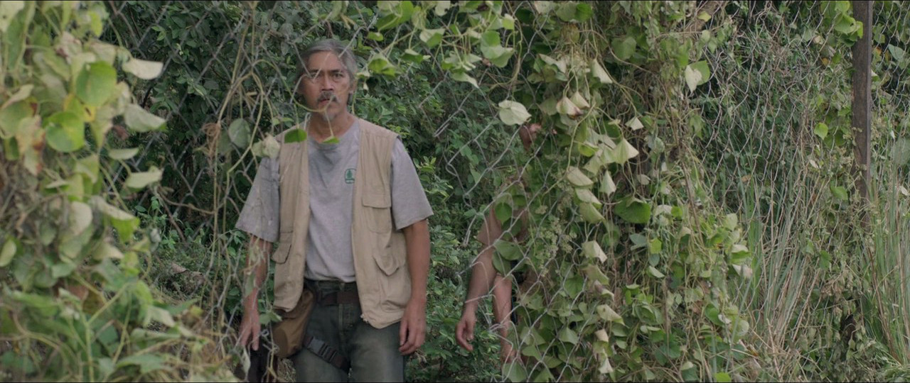 猎鸟剧照的剧照