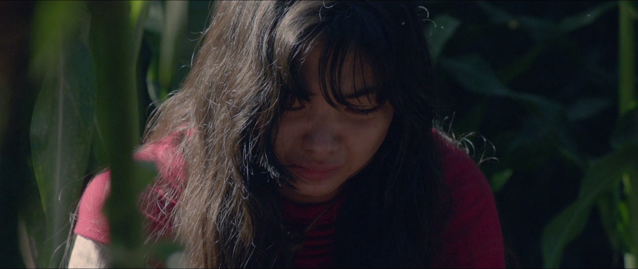 猎鸟剧照的剧照