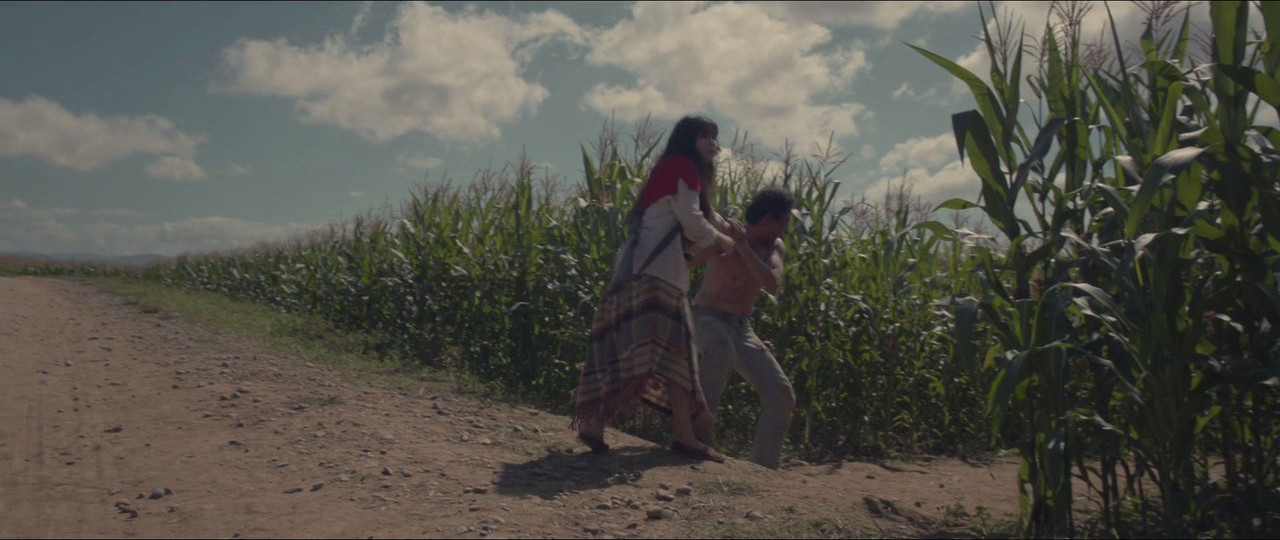 猎鸟剧照的剧照