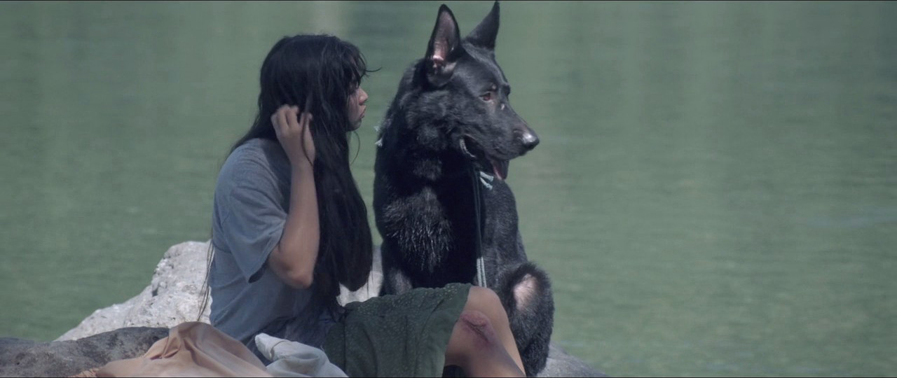 猎鸟剧照的剧照