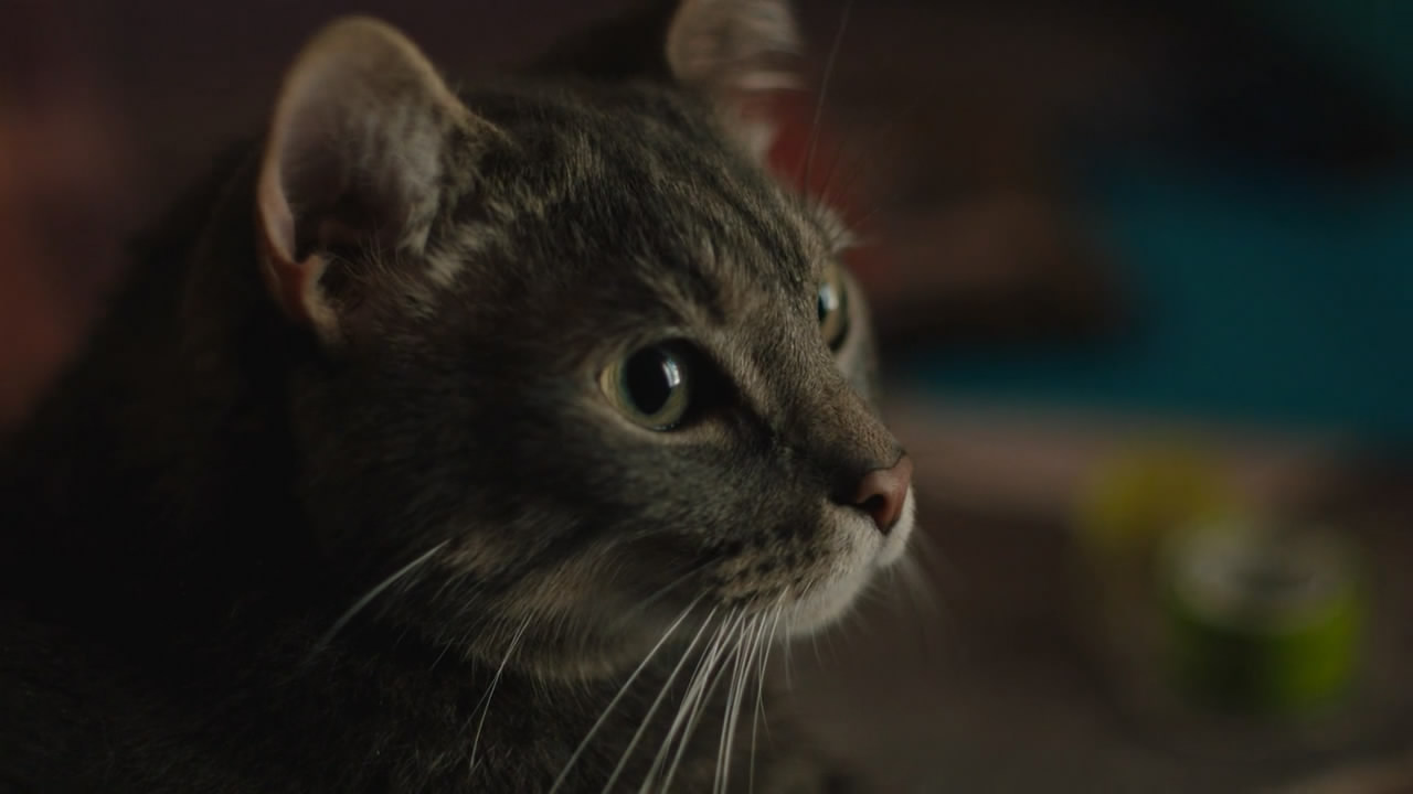 玛德琳的玛德琳剧照的剧照