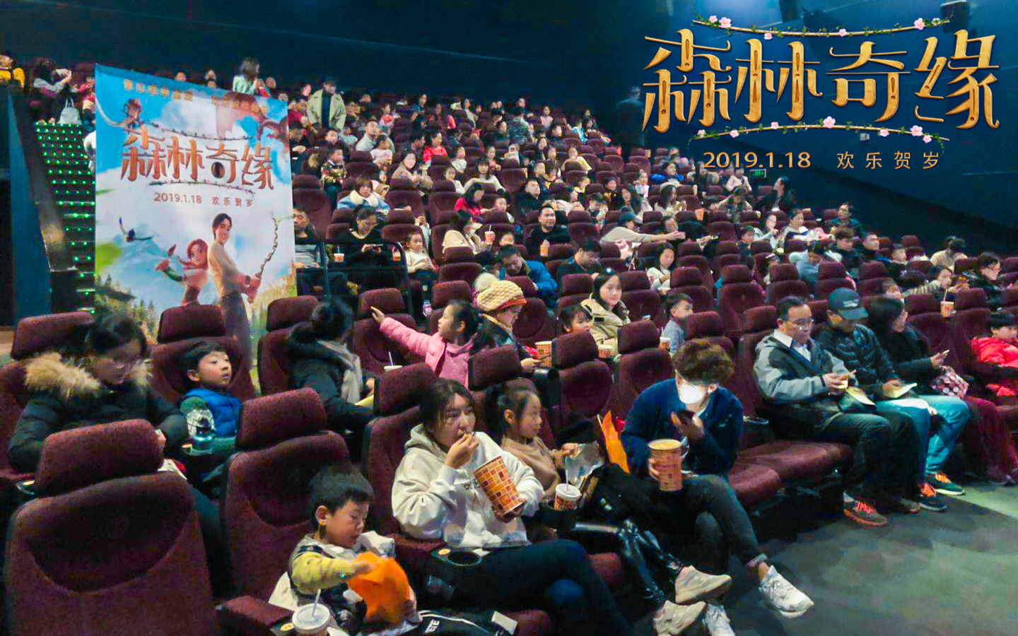 森林奇缘剧照的剧照