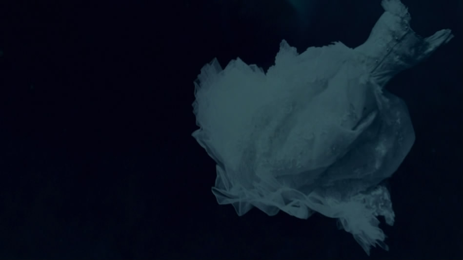 海猿2剧照的剧照