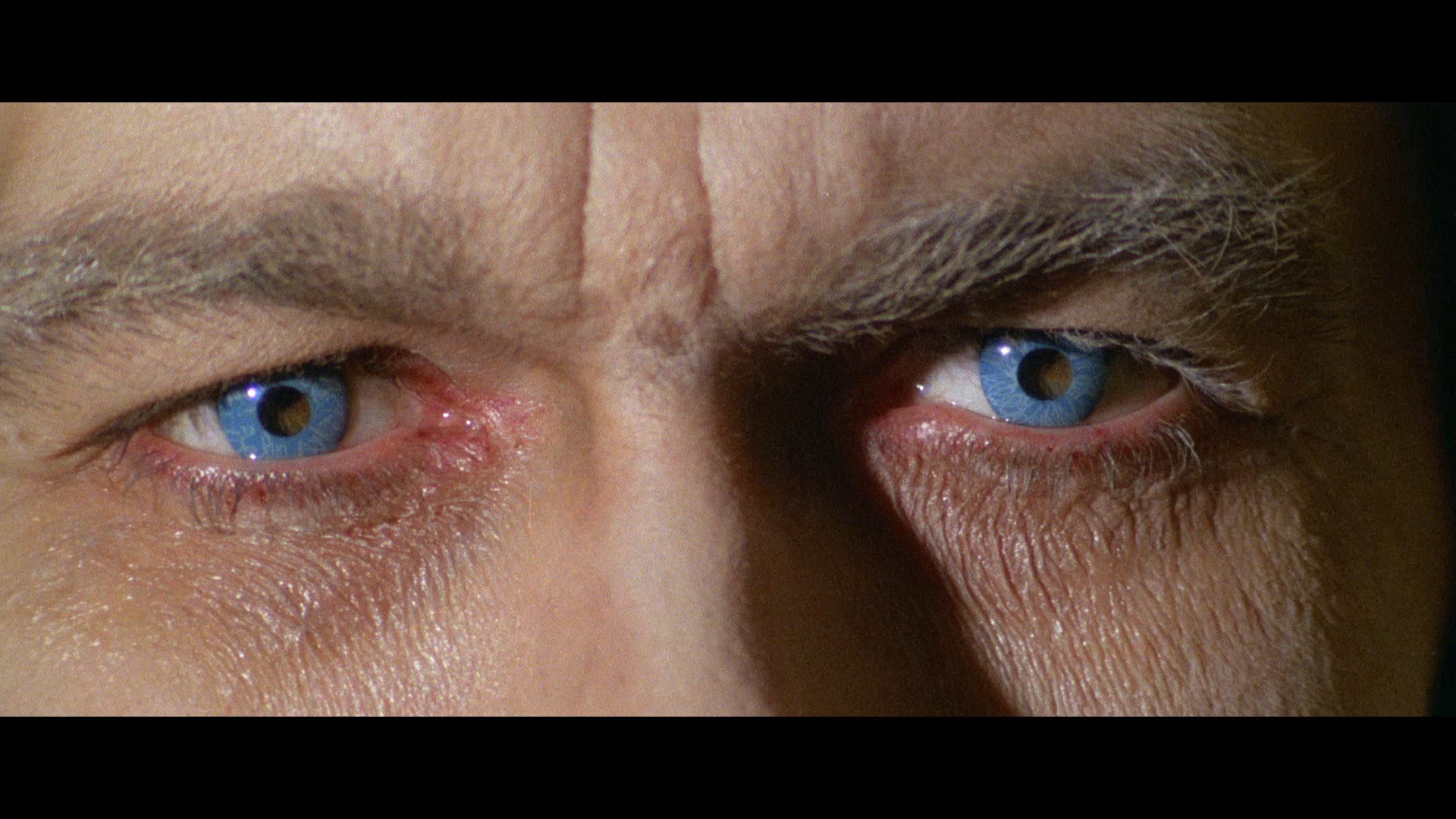 梦魇之瞳剧照的剧照