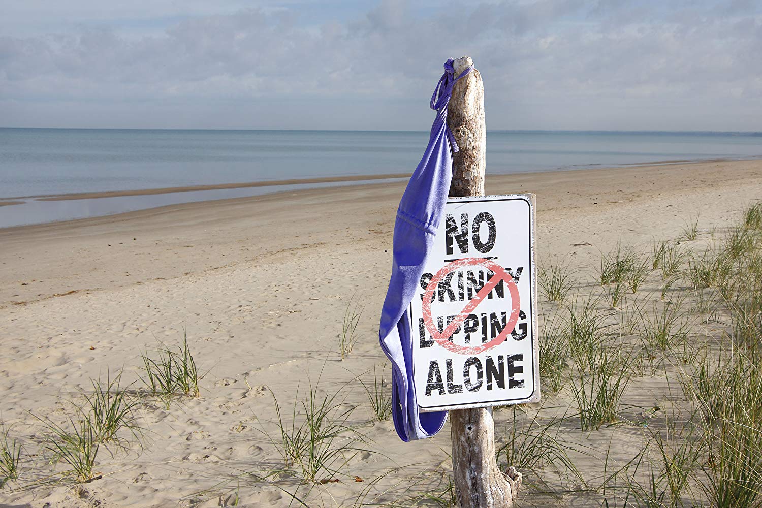 快照剧照的剧照