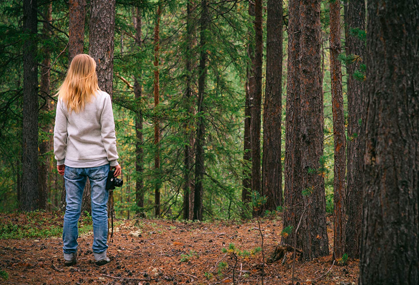 快照剧照的剧照