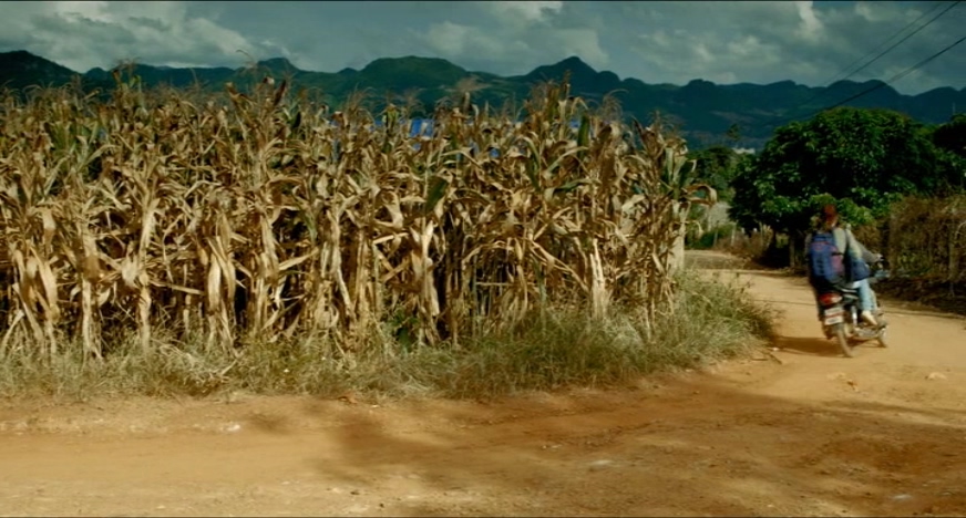 再见瓦城剧照的剧照