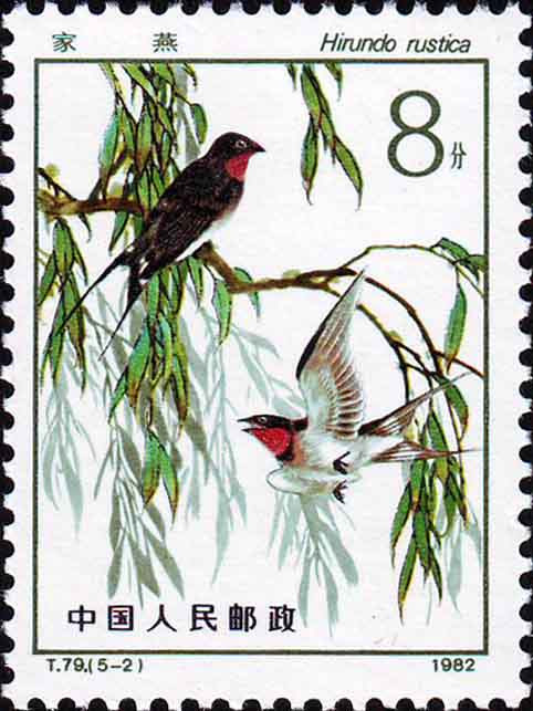 邮缘剧照的剧照