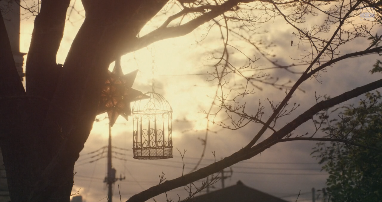 直到遇见九月之恋剧照的剧照