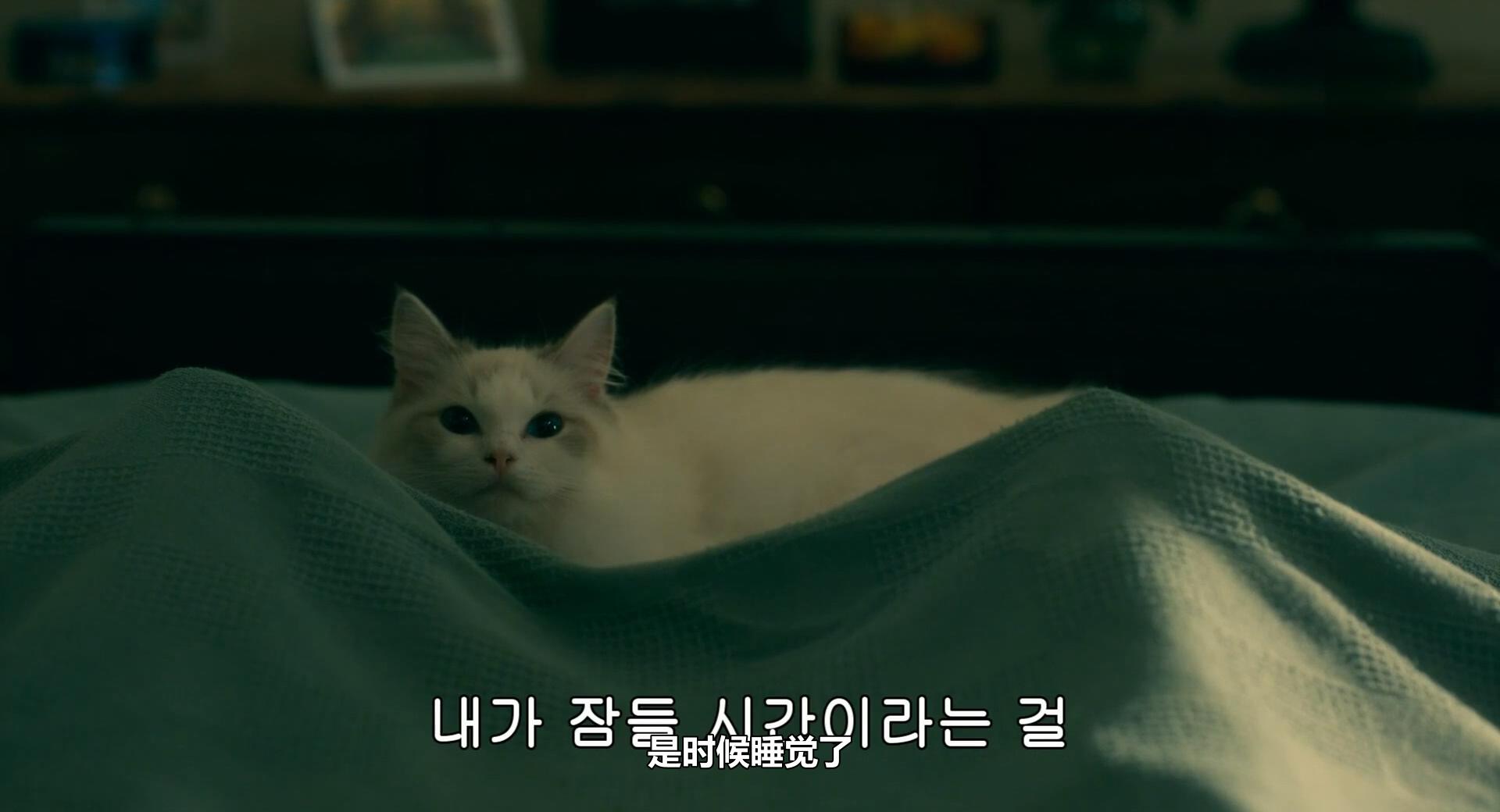 睡梦医生剧照的剧照