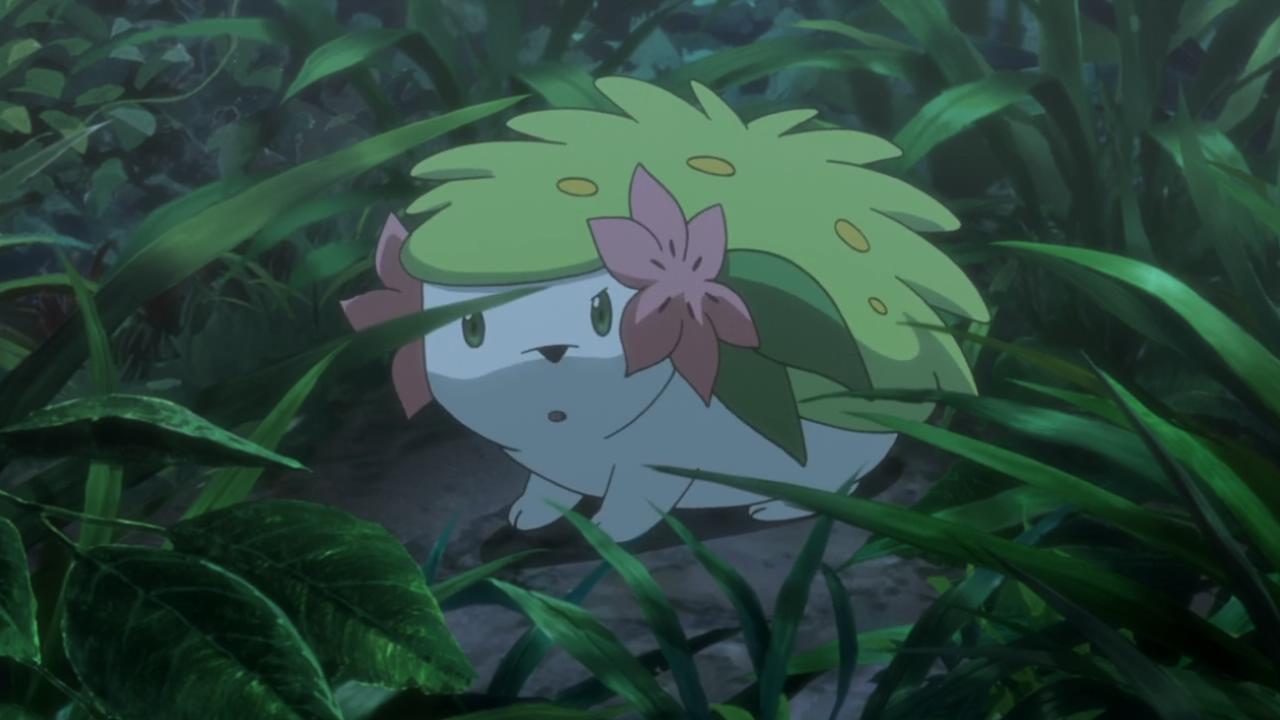 宠物小精灵：冥王龙与冰空的花束雪米剧照的剧照