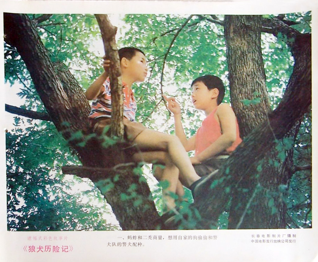 狼犬历险记剧照的剧照