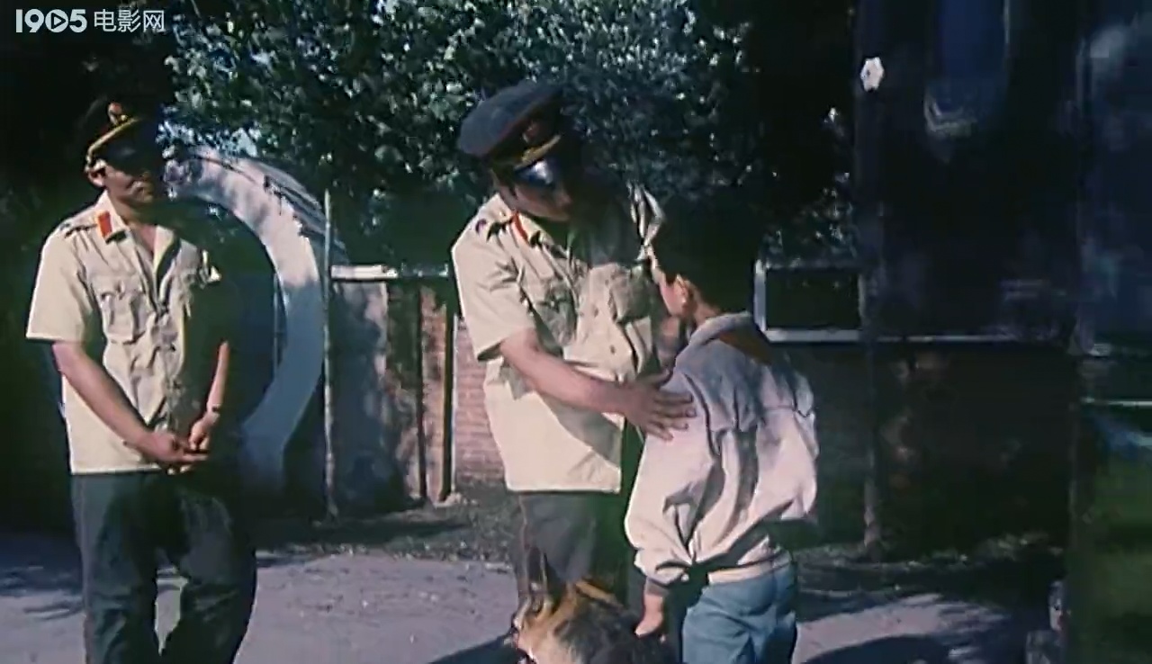 狼犬历险记剧照的剧照