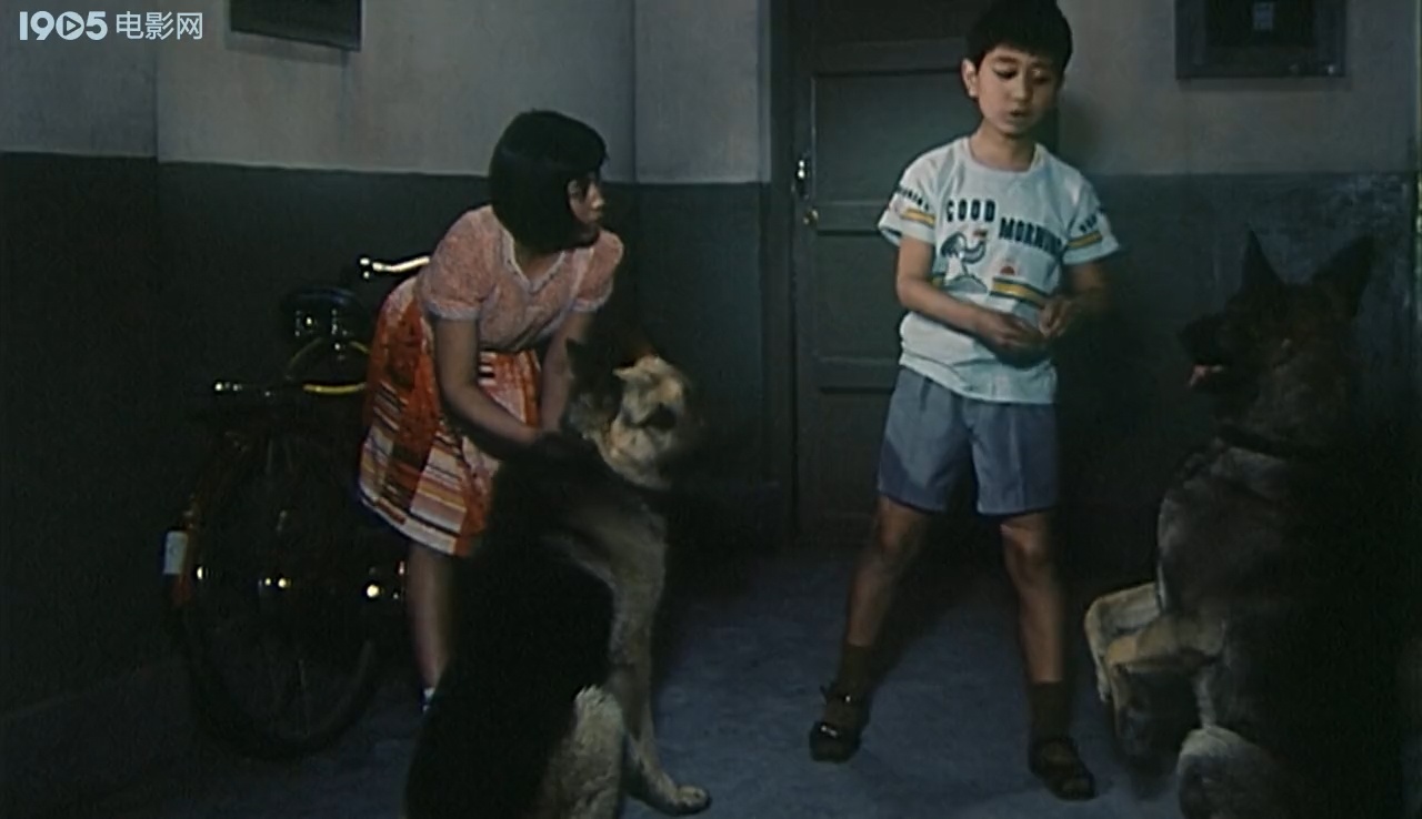 狼犬历险记剧照的剧照