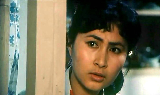 狼犬历险记剧照的剧照