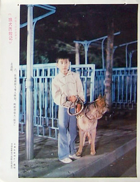 狼犬历险记剧照的剧照