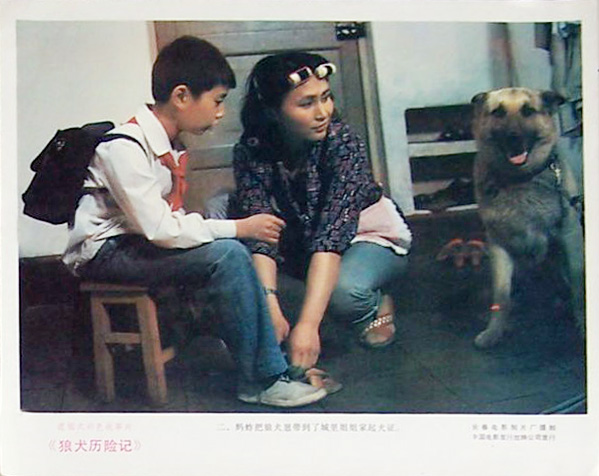 狼犬历险记剧照的剧照