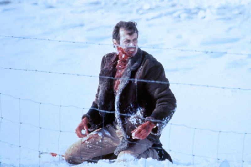 冰血暴剧照的剧照