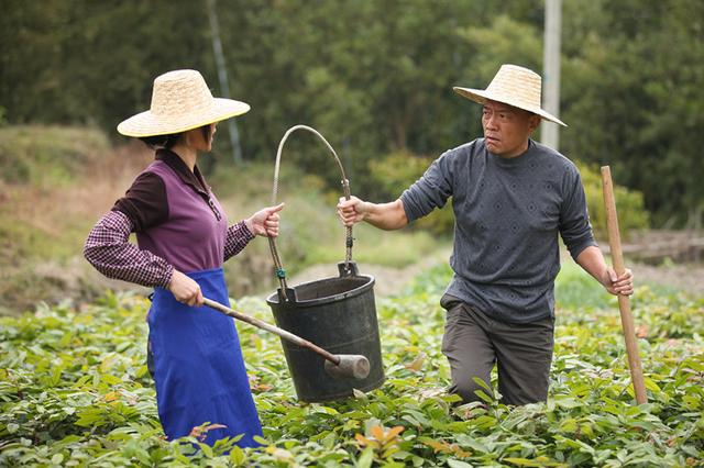 阿文的承诺剧照的剧照