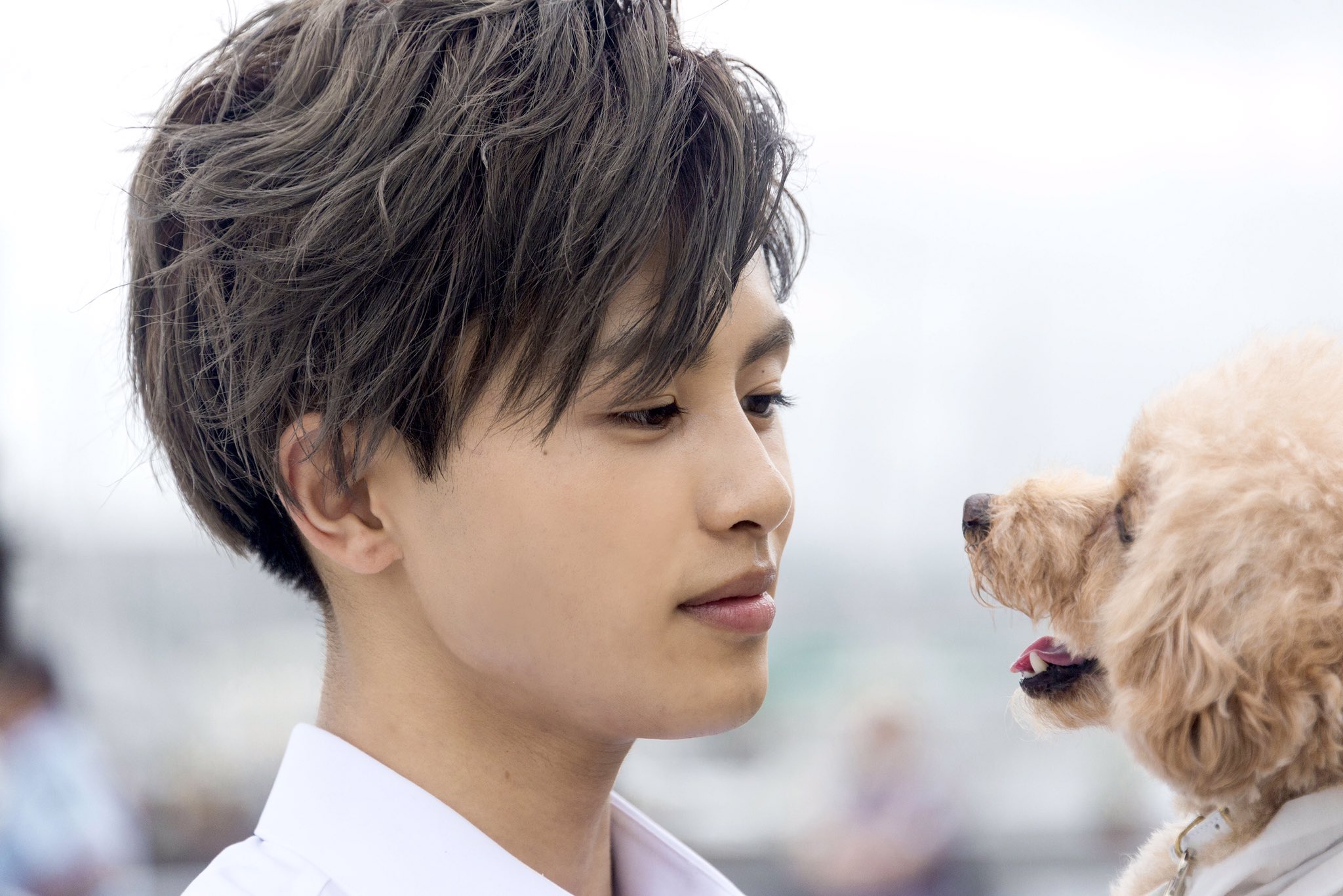 哥哥太爱我了怎么办剧照的剧照