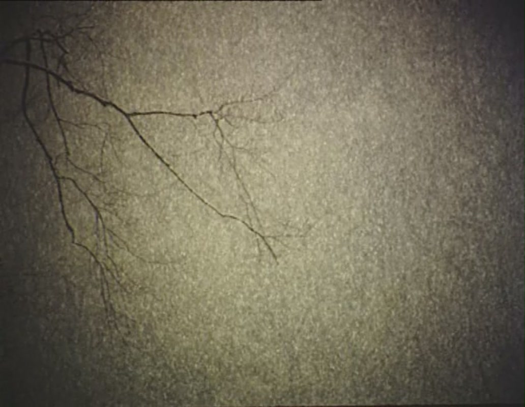 布达佩斯童话剧照的剧照