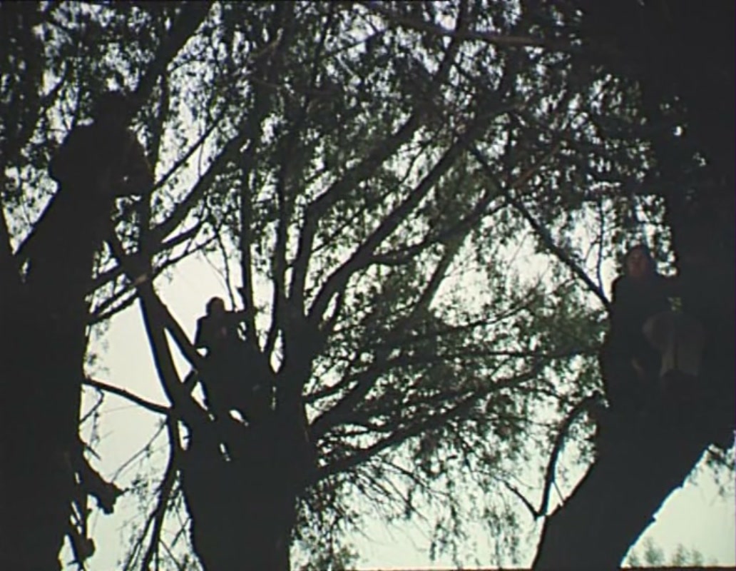 布达佩斯童话剧照的剧照