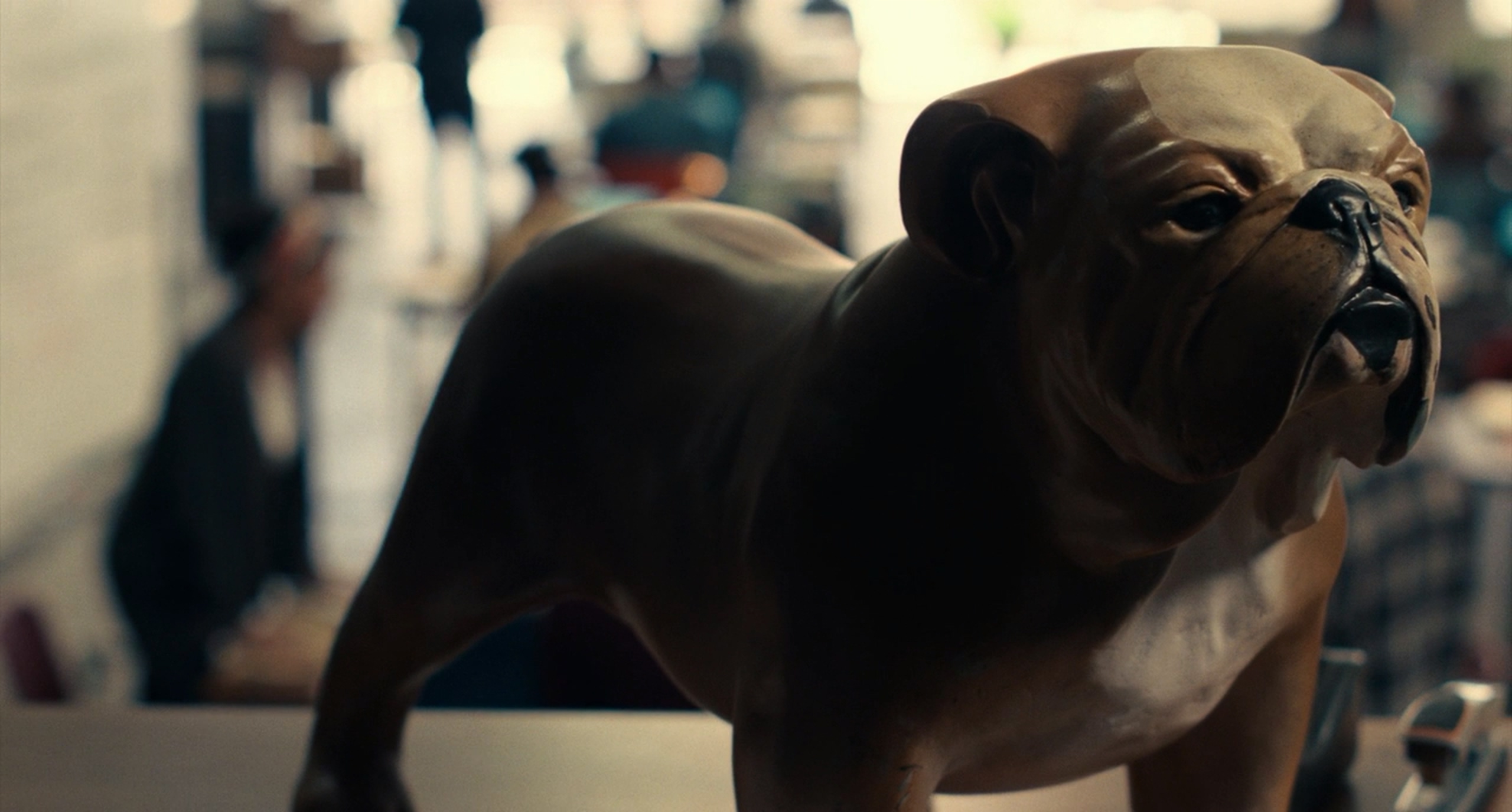 罗曼先生，你好剧照的剧照