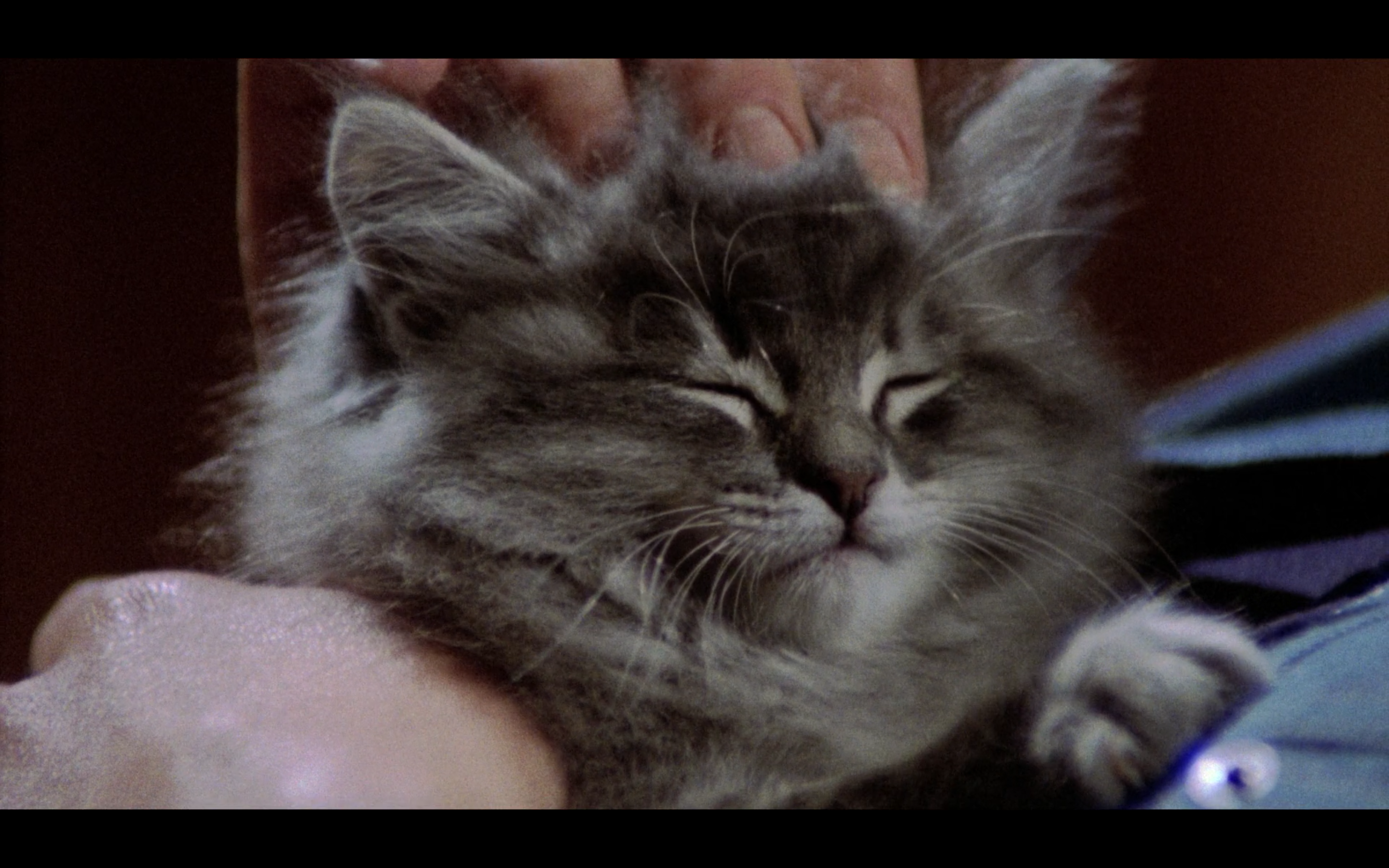 僵尸城市剧照的剧照