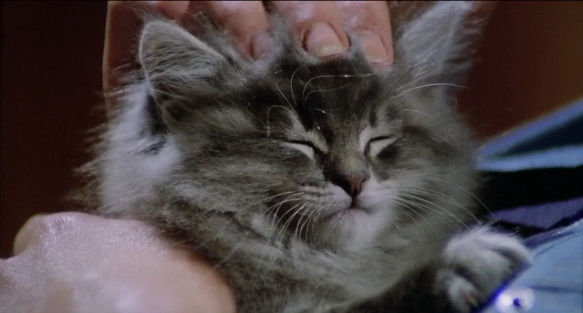 僵尸城市剧照的剧照