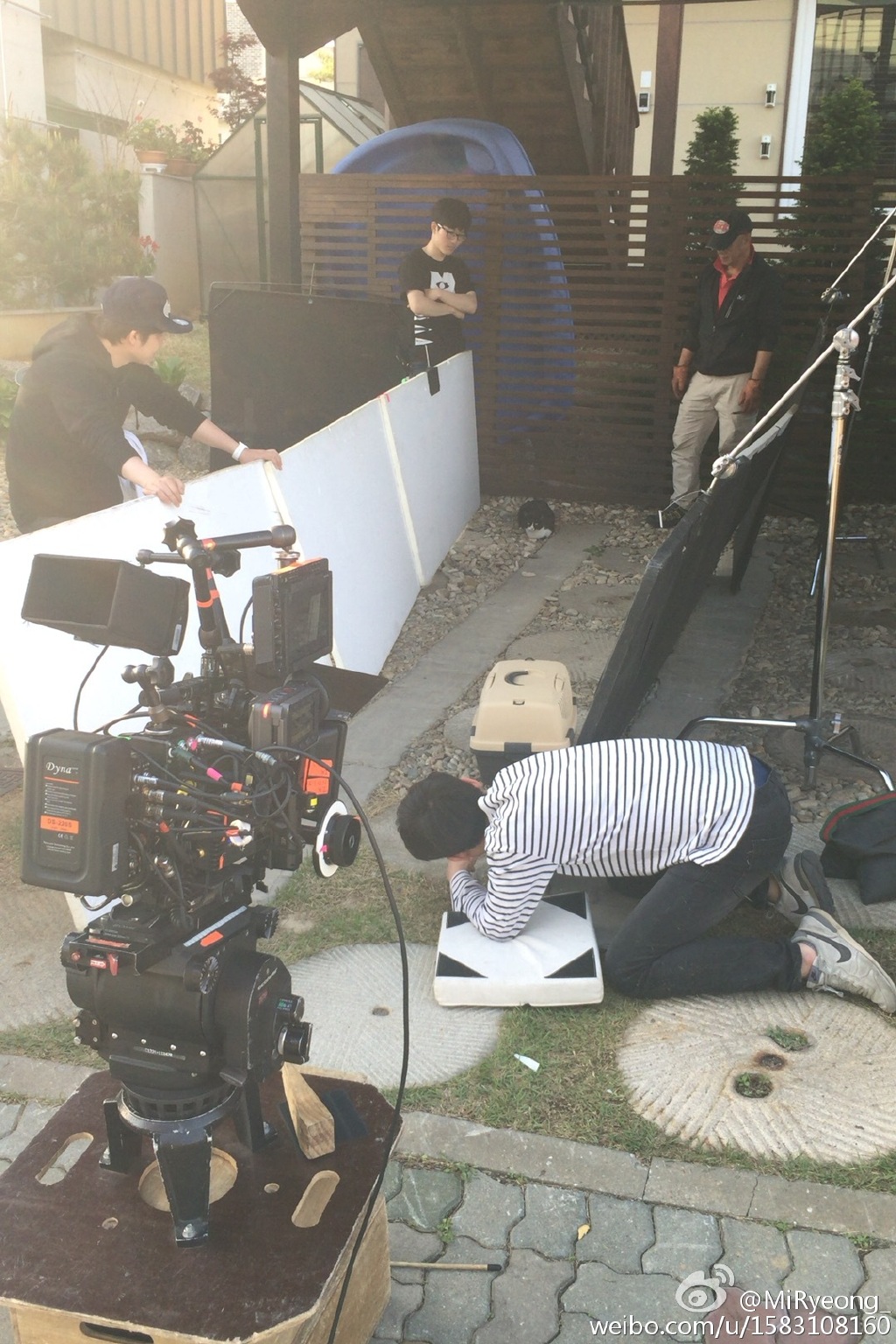 我爱喵星人剧照的剧照