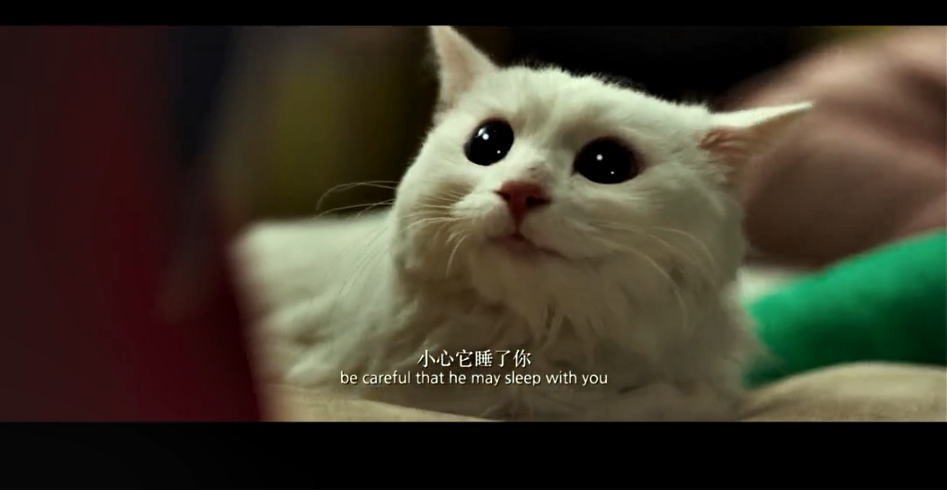 我爱喵星人剧照的剧照