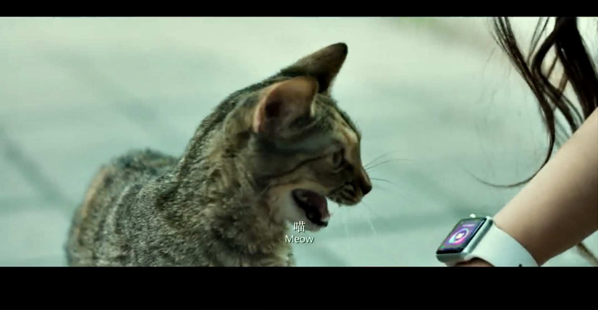 我爱喵星人剧照的剧照