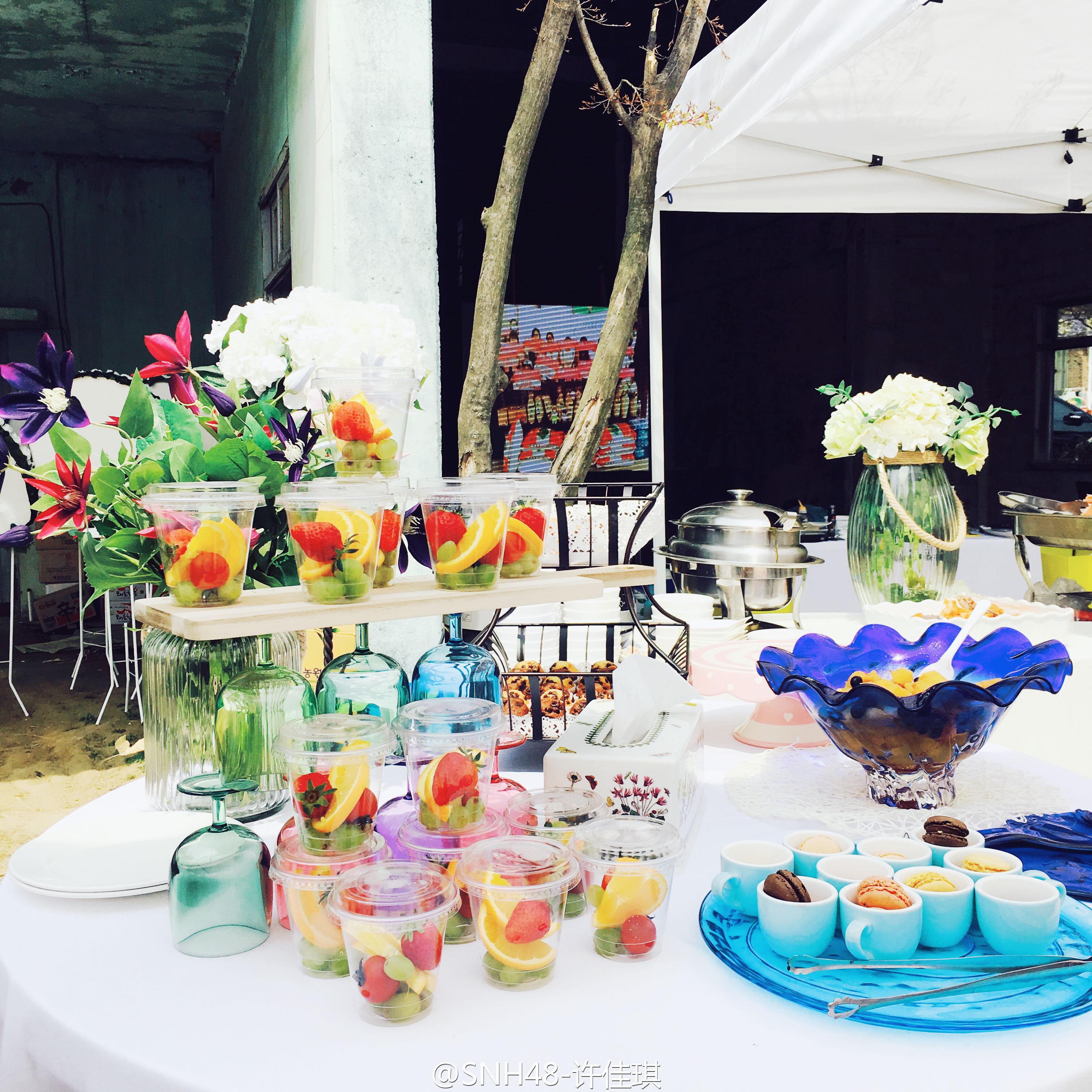 我爱喵星人剧照的剧照