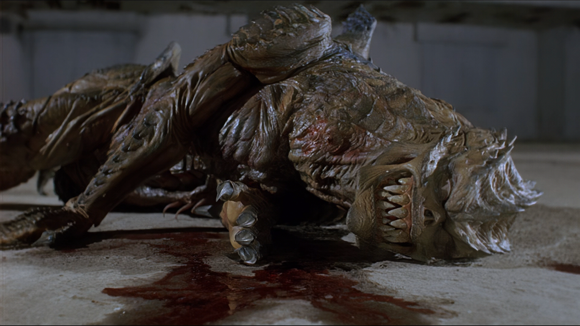 奈克瑟斯奥特曼剧场版剧照的剧照