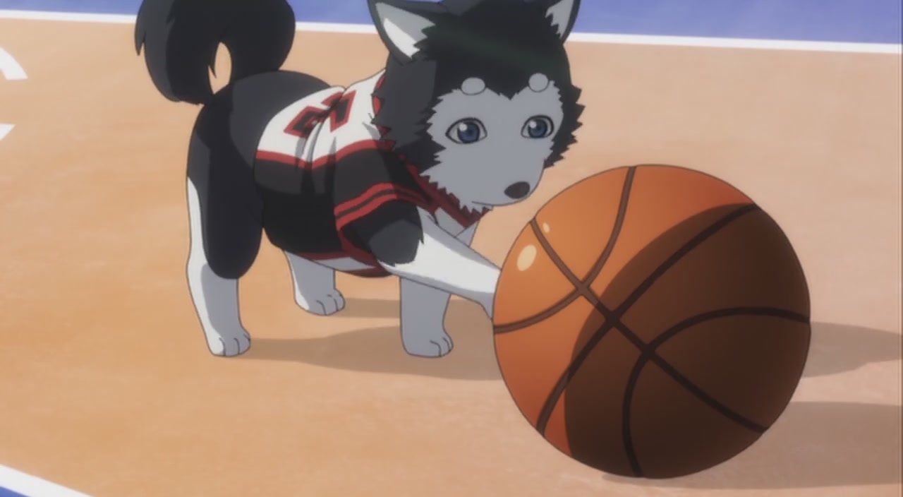 黑子的篮球 OAD剧照的剧照