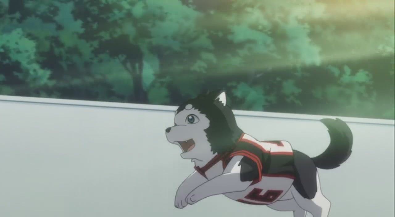 黑子的篮球 OAD剧照的剧照