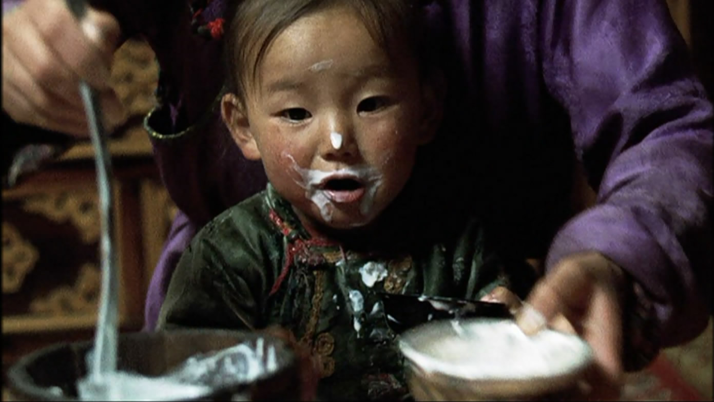 小黄狗的窝剧照的剧照