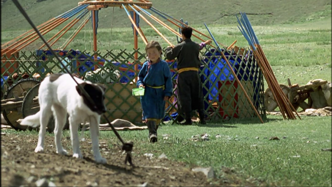 小黄狗的窝剧照的剧照