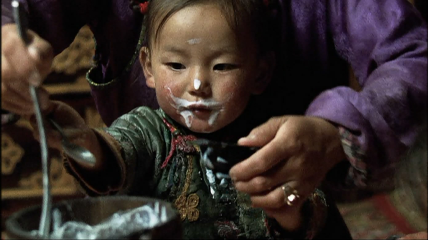 小黄狗的窝剧照的剧照