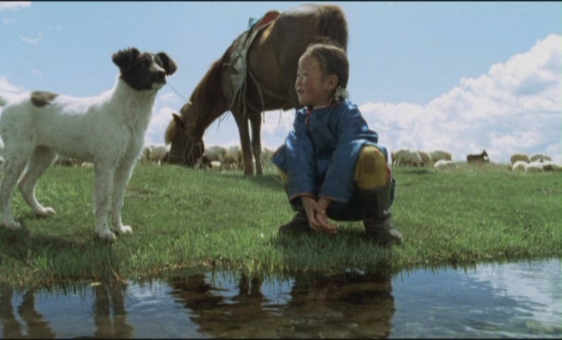 小黄狗的窝剧照的剧照