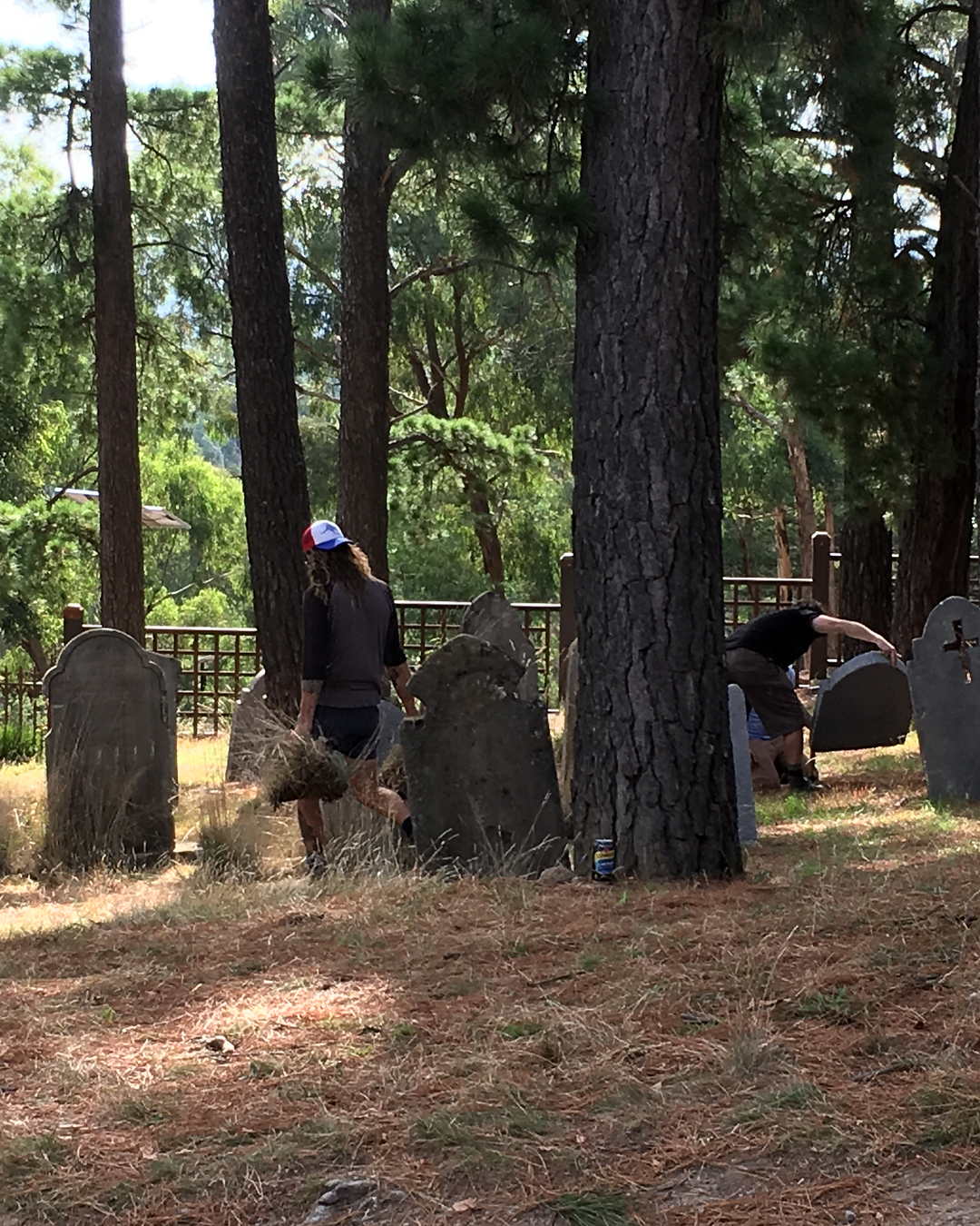 朱迪与潘趣剧照的剧照