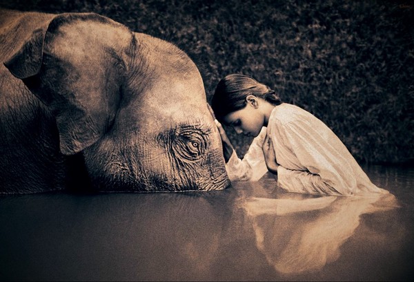 尘与雪剧照的剧照