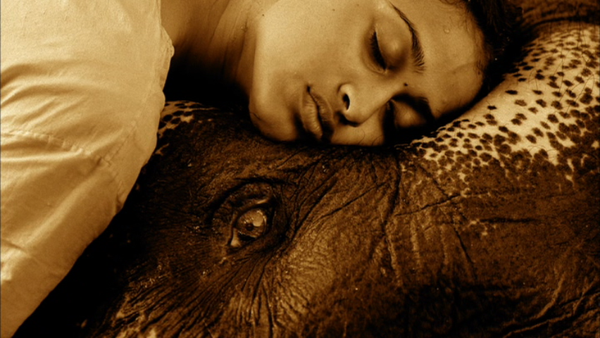 尘与雪剧照的剧照