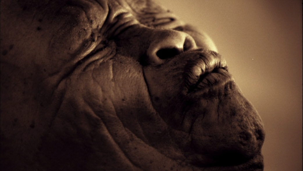 尘与雪剧照的剧照