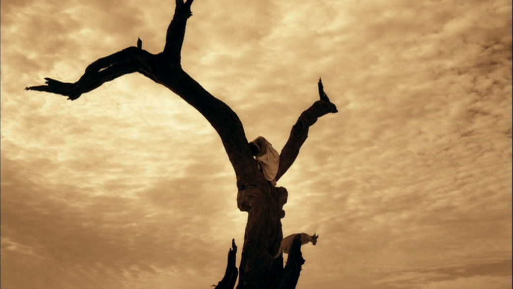 尘与雪剧照的剧照